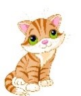 cat english question